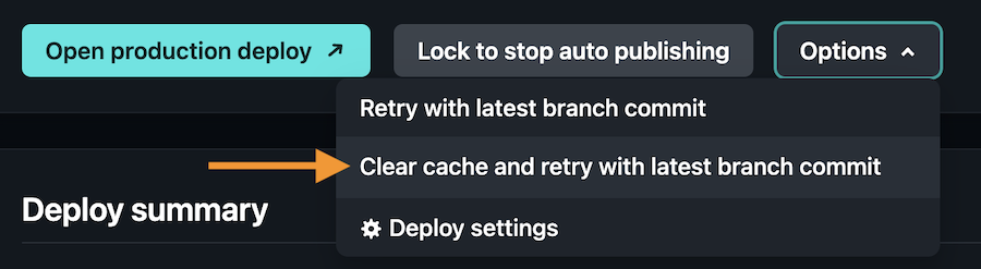 Netlify Clear Cache